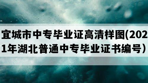 宜城市中专毕业证高清样图(2021年湖北普通中专毕业证书编号）