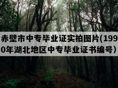 赤壁市中专毕业证实拍图片(1990年湖北地区中专毕业证书编号）