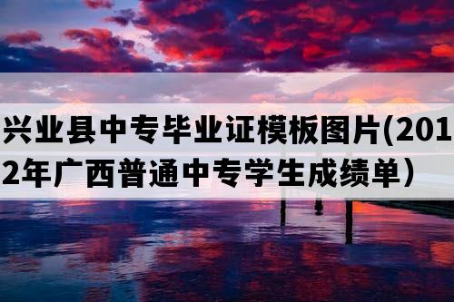 兴业县中专毕业证模板图片(2012年广西普通中专学生成绩单）