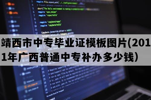 靖西市中专毕业证模板图片(2011年广西普通中专补办多少钱）