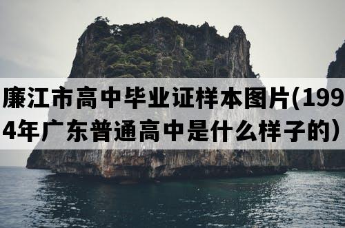 廉江市高中毕业证样本图片(1994年广东普通高中是什么样子的）