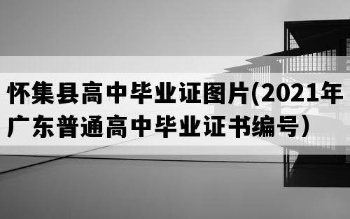 怀集县高中毕业证图片(2021年广东普通高中毕业证书编号）