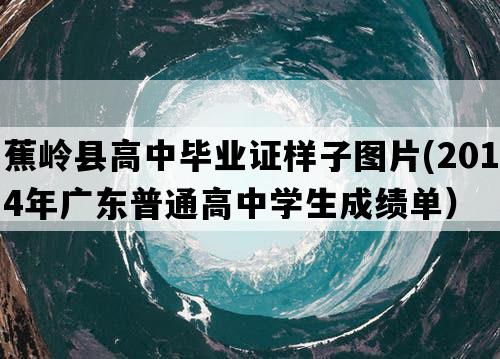 蕉岭县高中毕业证样子图片(2014年广东普通高中学生成绩单）