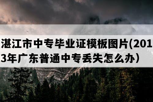 湛江市中专毕业证模板图片(2013年广东普通中专丢失怎么办）