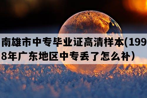 南雄市中专毕业证高清样本(1998年广东地区中专丢了怎么补）