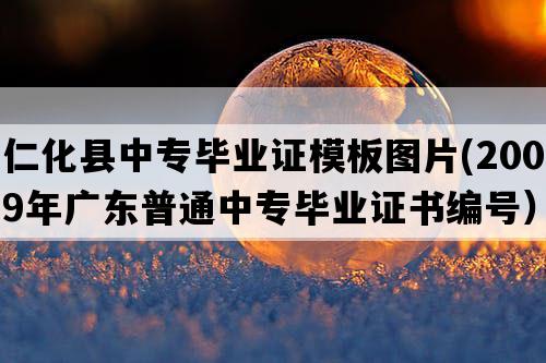 仁化县中专毕业证模板图片(2009年广东普通中专毕业证书编号）