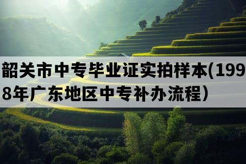 韶关市中专毕业证实拍样本(1998年广东地区中专补办流程）