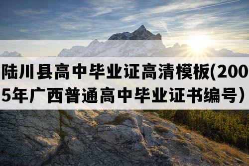 陆川县高中毕业证高清模板(2005年广西普通高中毕业证书编号）