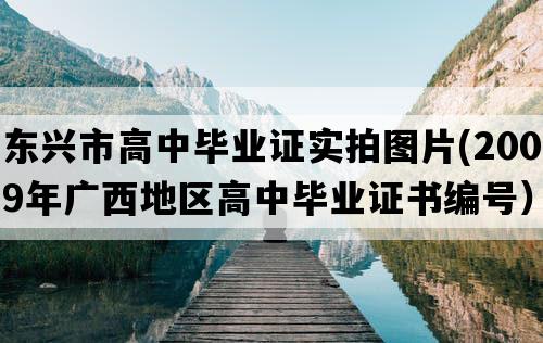 东兴市高中毕业证实拍图片(2009年广西地区高中毕业证书编号）