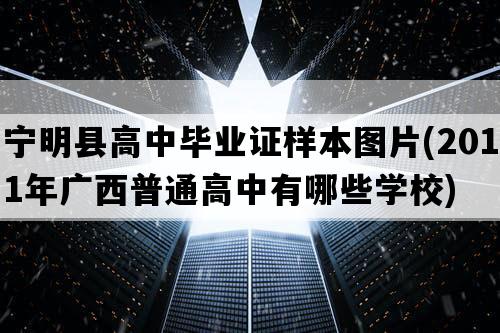 宁明县高中毕业证样本图片(2011年广西普通高中有哪些学校)