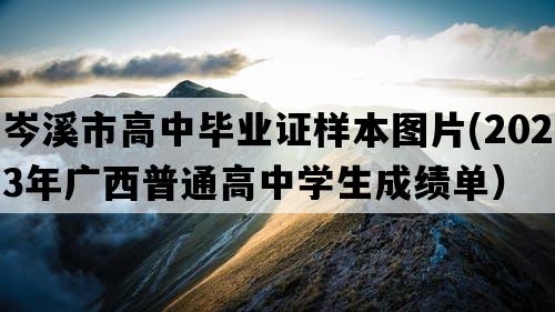 岑溪市高中毕业证样本图片(2023年广西普通高中学生成绩单）