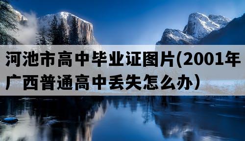 河池市高中毕业证图片(2001年广西普通高中丢失怎么办）