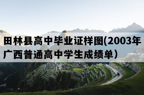 田林县高中毕业证样图(2003年广西普通高中学生成绩单）