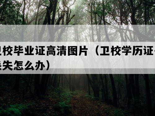 卫校毕业证高清图片（卫校学历证书丢失怎么办）