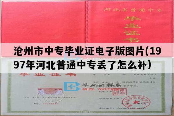 沧州市中专毕业证电子版图片(1997年河北普通中专丢了怎么补）