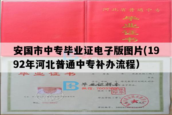 安国市中专毕业证电子版图片(1992年河北普通中专补办流程）