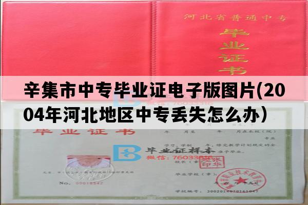 辛集市中专毕业证电子版图片(2004年河北地区中专丢失怎么办）