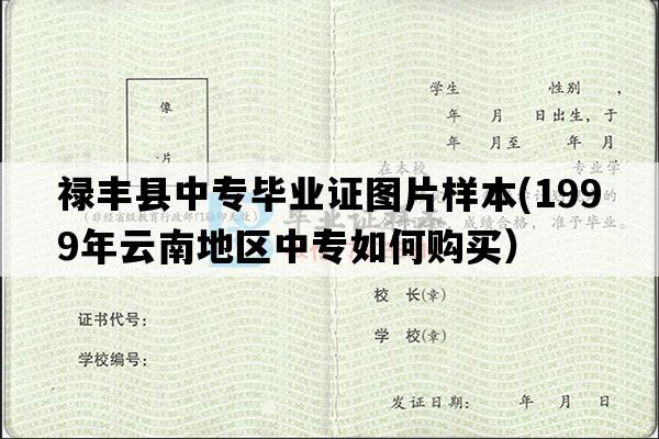 禄丰县中专毕业证图片样本(1999年云南地区中专如何购买）