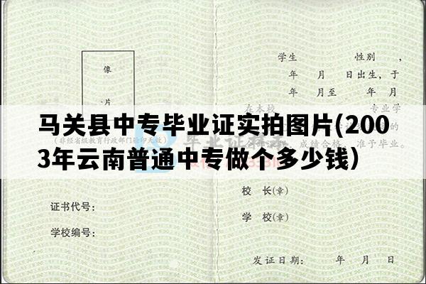 马关县中专毕业证实拍图片(2003年云南普通中专做个多少钱）