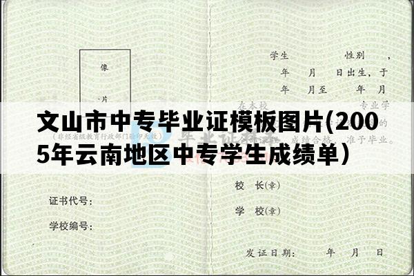 文山市中专毕业证模板图片(2005年云南地区中专学生成绩单）