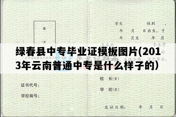 绿春县中专毕业证模板图片(2013年云南普通中专是什么样子的）