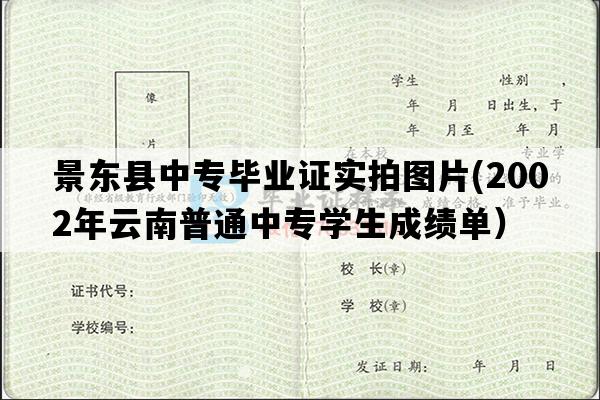 景东县中专毕业证实拍图片(2002年云南普通中专学生成绩单）