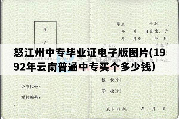 怒江州中专毕业证电子版图片(1992年云南普通中专买个多少钱）