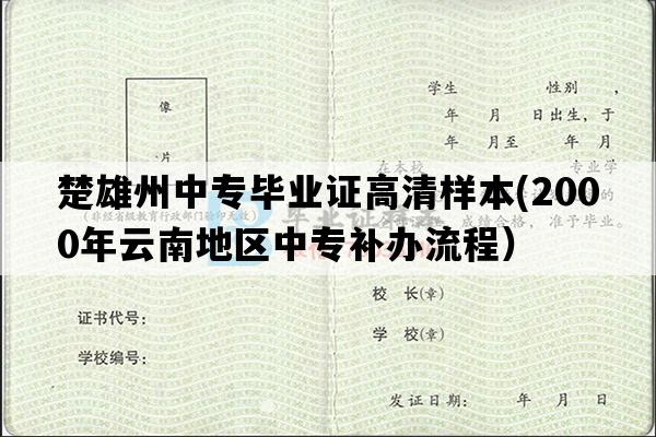 楚雄州中专毕业证高清样本(2000年云南地区中专补办流程）