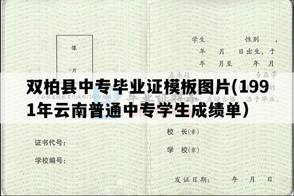 双柏县中专毕业证模板图片(1991年云南普通中专学生成绩单）