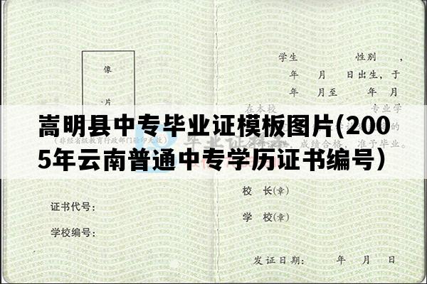 嵩明县中专毕业证模板图片(2005年云南普通中专学历证书编号）