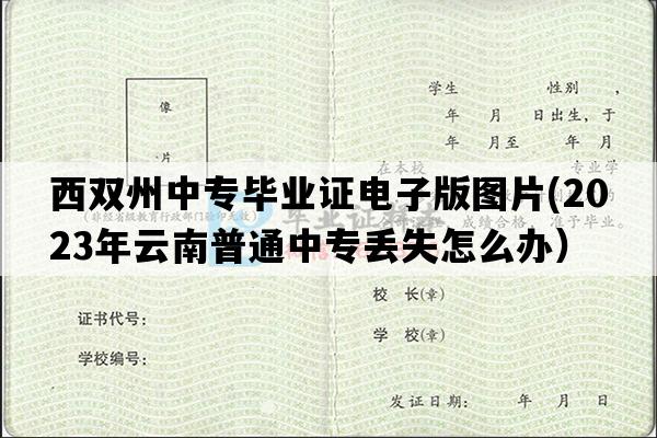 西双州中专毕业证电子版图片(2023年云南普通中专丢失怎么办）