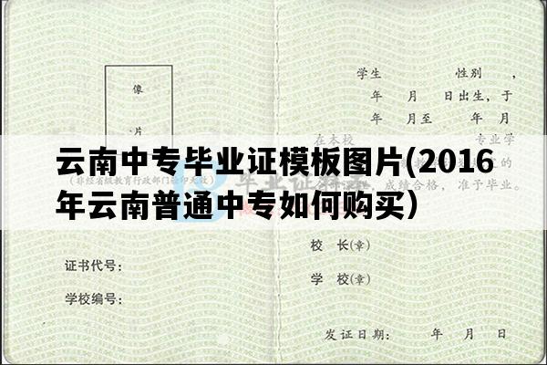 云南中专毕业证模板图片(2016年云南普通中专如何购买）