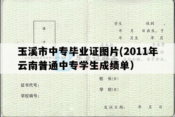 玉溪市中专毕业证图片(2011年云南普通中专学生成绩单）