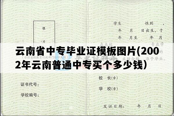 云南省中专毕业证模板图片(2002年云南普通中专买个多少钱）