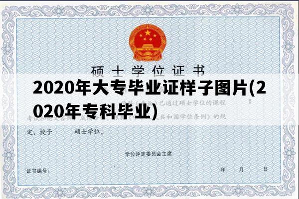 2020年大专毕业证样子图片(2020年专科毕业)