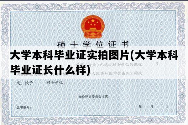 大学本科毕业证实拍图片(大学本科毕业证长什么样)