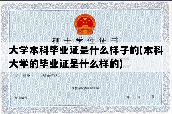 大学本科毕业证是什么样子的(本科大学的毕业证是什么样的)