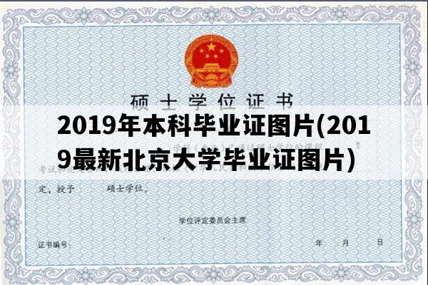 2019年本科毕业证图片(2019最新北京大学毕业证图片)