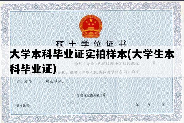 大学本科毕业证实拍样本(大学生本科毕业证)