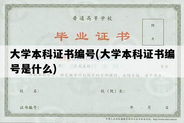 大学本科证书编号(大学本科证书编号是什么)