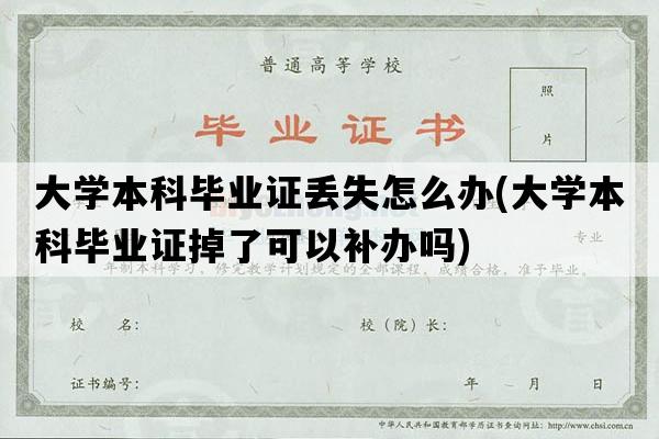 大学本科毕业证丢失怎么办(大学本科毕业证掉了可以补办吗)