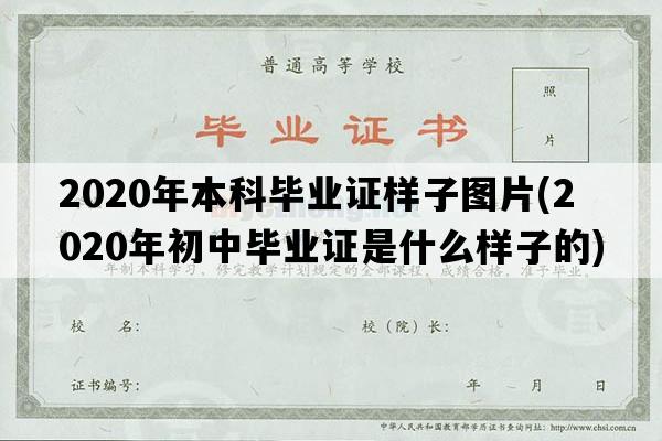 2020年本科毕业证样子图片(2020年初中毕业证是什么样子的)