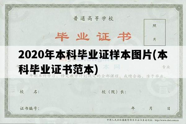 2020年本科毕业证样本图片(本科毕业证书范本)