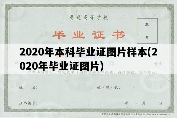 2020年本科毕业证图片样本(2020年毕业证图片)