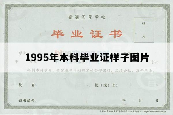 1995年本科毕业证样子图片