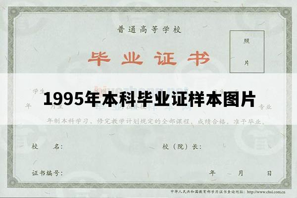 1995年本科毕业证样本图片