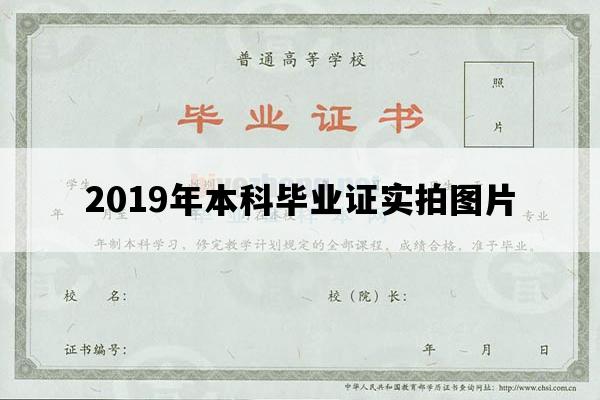 2019年本科毕业证实拍图片