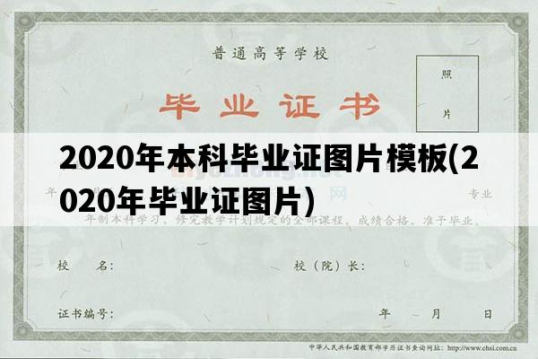 2020年本科毕业证图片模板(2020年毕业证图片)