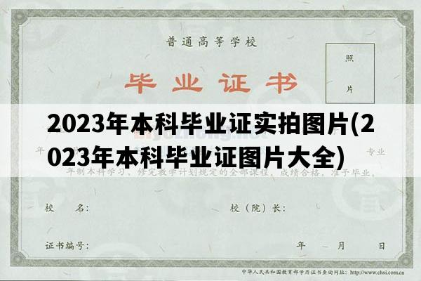 2023年本科毕业证实拍图片(2023年本科毕业证图片大全)