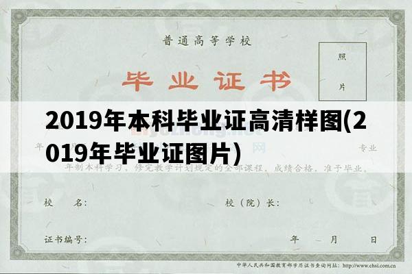 2019年本科毕业证高清样图(2019年毕业证图片)